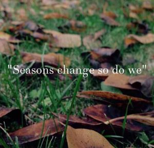 2decec106f992241319d6718ae6cb332