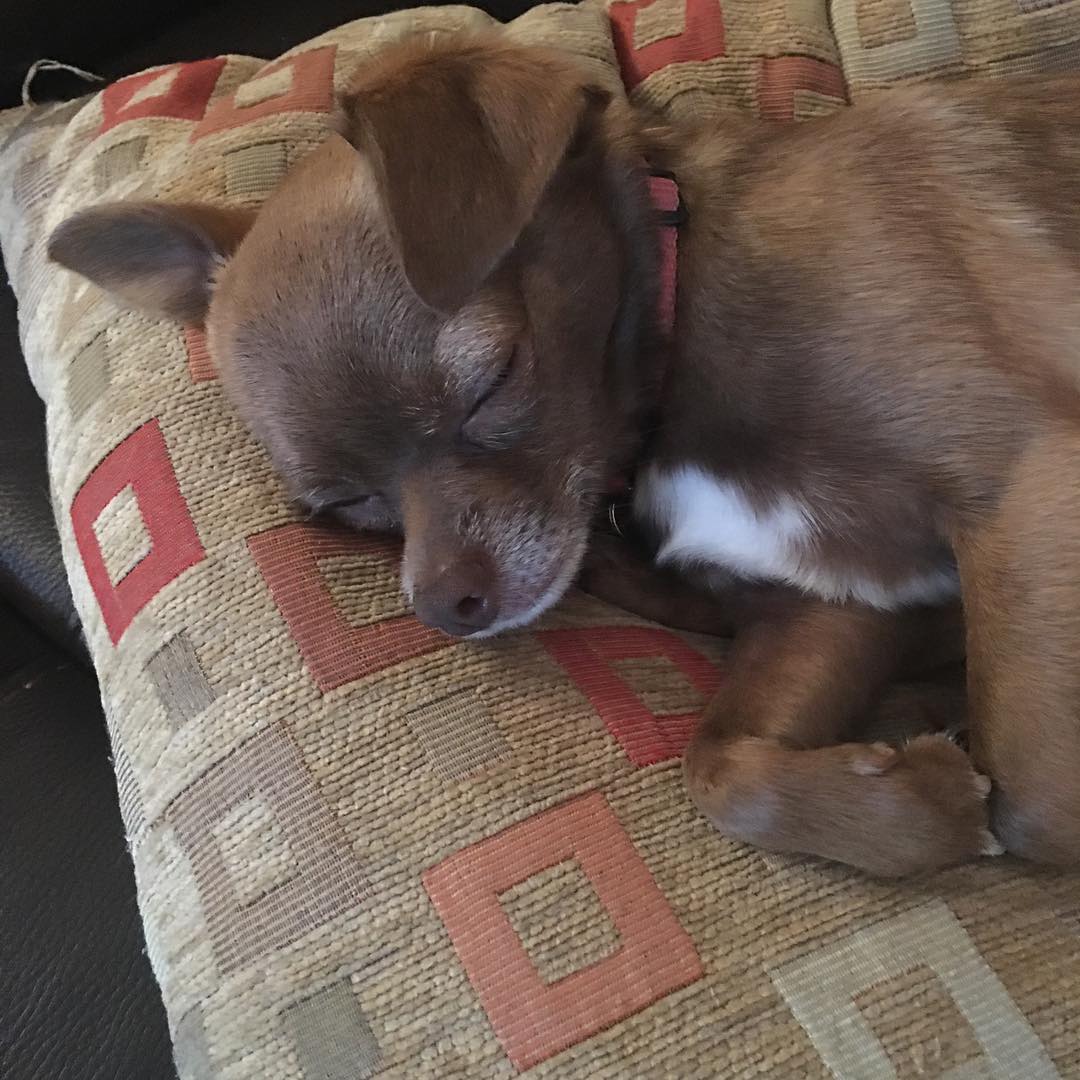 34062501_10216266518918199_7382115536970186752_o