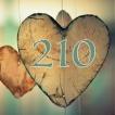 210
