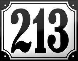 213