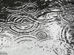 rain-ripples-on-pond-making-circular-patterns